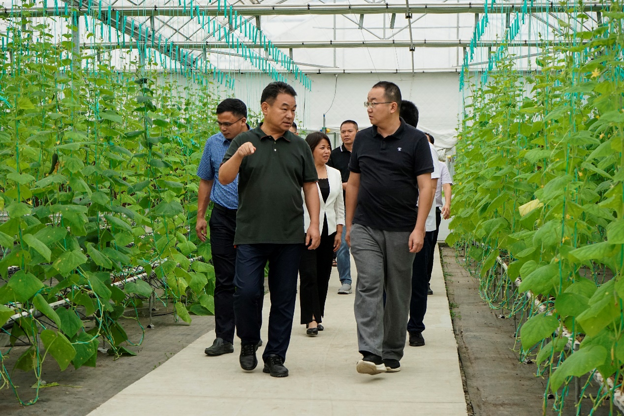 广西藤县县委书记杜城书记莅临我司考察 - 江苏百斯特食品科技有限